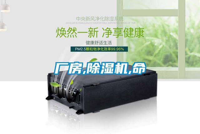 廠(chǎng)房,除濕機,命