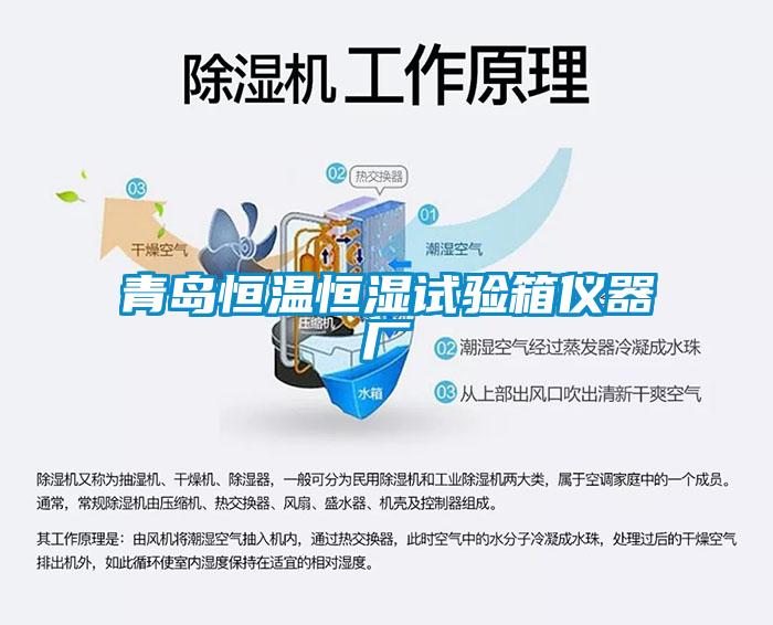 青島恒溫恒濕試驗箱儀器廠(chǎng)