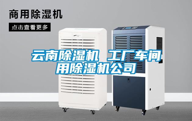 云南除濕機 工廠(chǎng)車(chē)間用除濕機公司