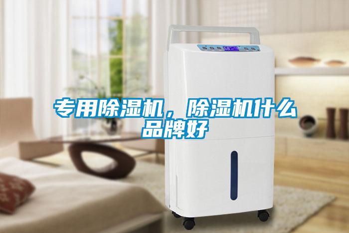 專(zhuān)用除濕機，除濕機什么品牌好