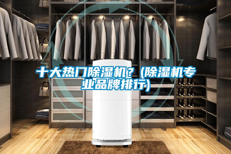 十大熱門(mén)除濕機？(除濕機專(zhuān)業(yè)品牌排行)