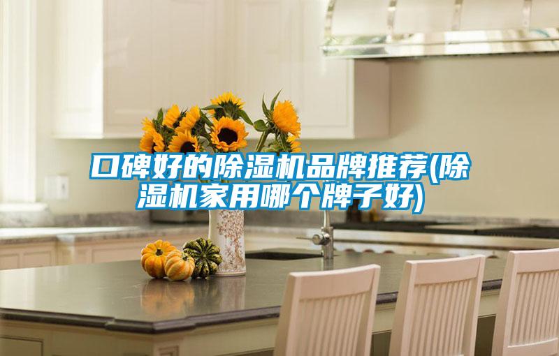 口碑好的除濕機品牌推薦(除濕機家用哪個(gè)牌子好)