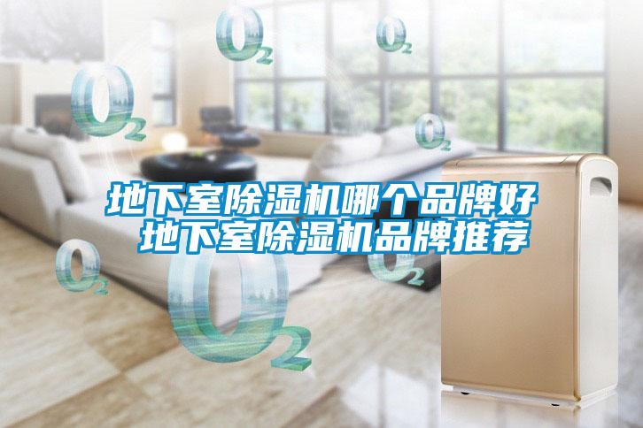 地下室除濕機哪個(gè)品牌好 地下室除濕機品牌推薦