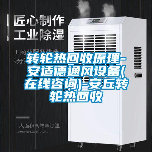 轉輪熱回收原理-安適德通風(fēng)設備(在線(xiàn)咨詢(xún))-安丘轉輪熱回收