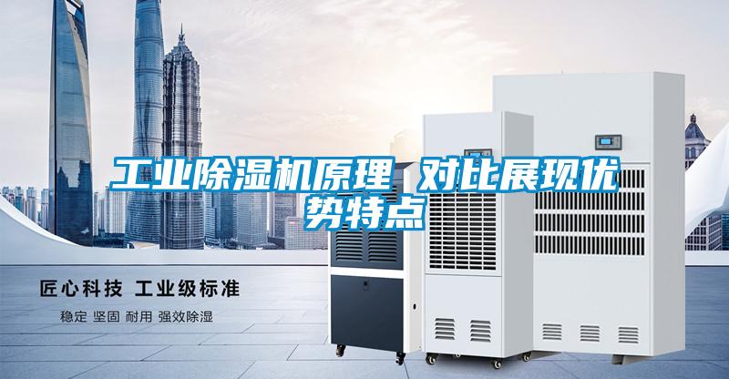 工業(yè)除濕機原理 對比展現優(yōu)勢特點(diǎn)