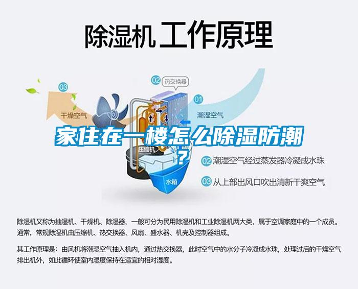 家住在一樓怎么除濕防潮？