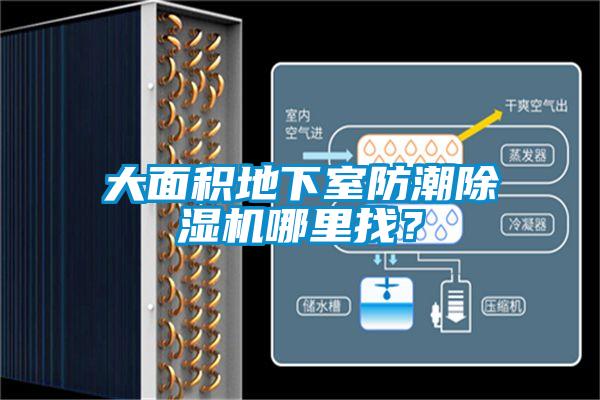 大面積地下室防潮除濕機哪里找？