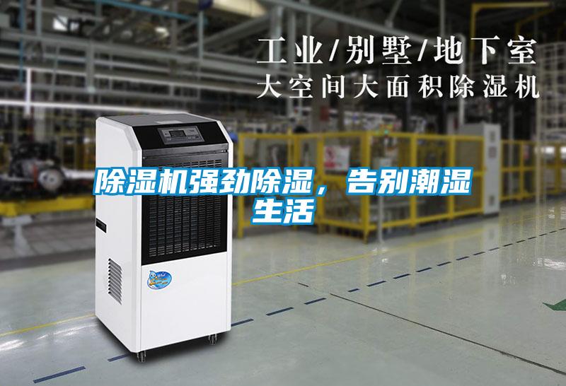 除濕機強勁除濕，告別潮濕生活
