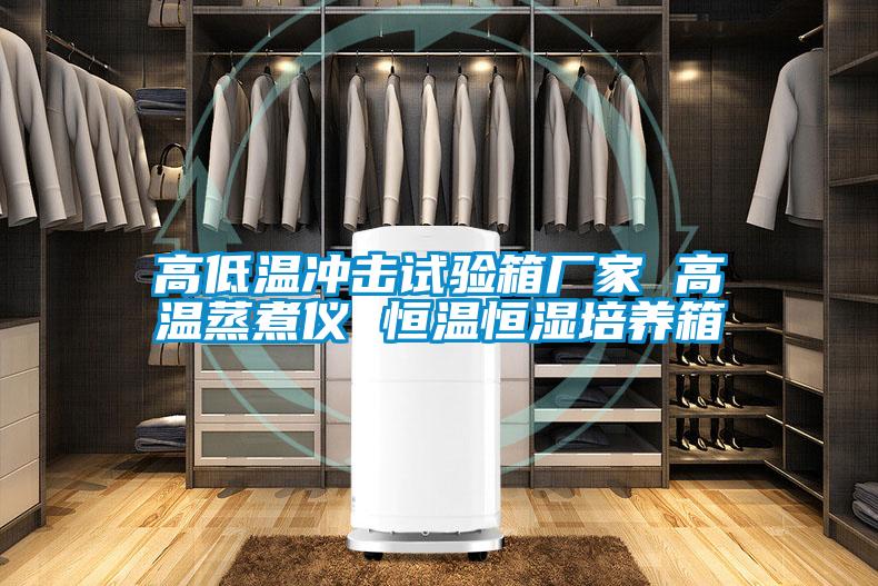 高低溫沖擊試驗箱廠(chǎng)家 高溫蒸煮儀 恒溫恒濕培養箱