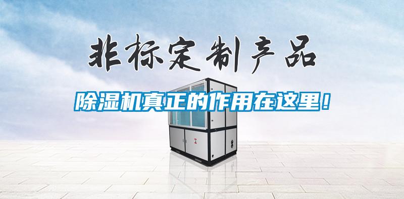 除濕機真正的作用在這里！