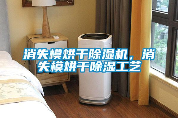 消失模烘干除濕機，消失模烘干除濕工藝