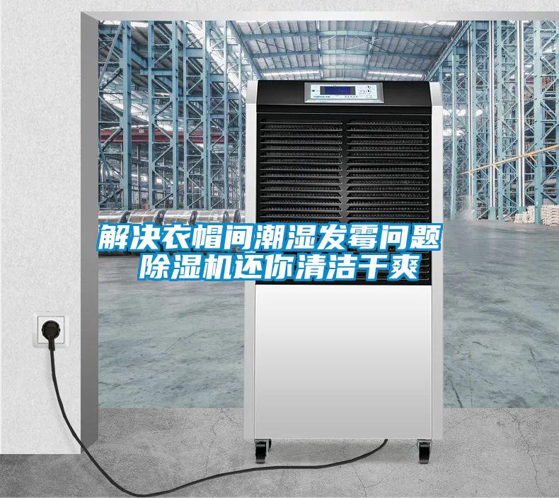 解決衣帽間潮濕發(fā)霉問(wèn)題 除濕機還你清潔干爽