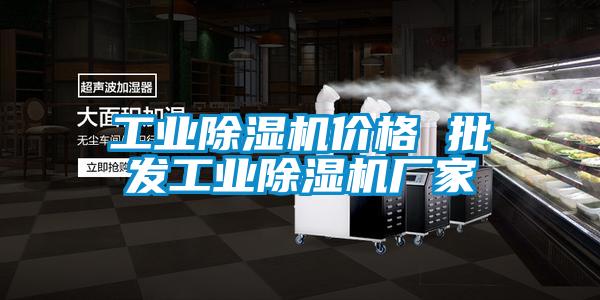 工業(yè)除濕機價(jià)格 批發(fā)工業(yè)除濕機廠(chǎng)家