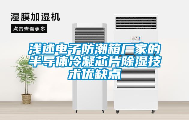 淺述電子防潮箱廠(chǎng)家的半導體冷凝芯片除濕技術(shù)優(yōu)缺點(diǎn)