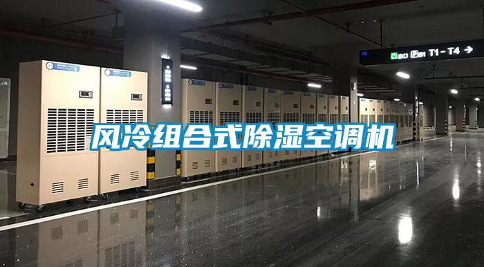 風(fēng)冷組合式除濕空調機