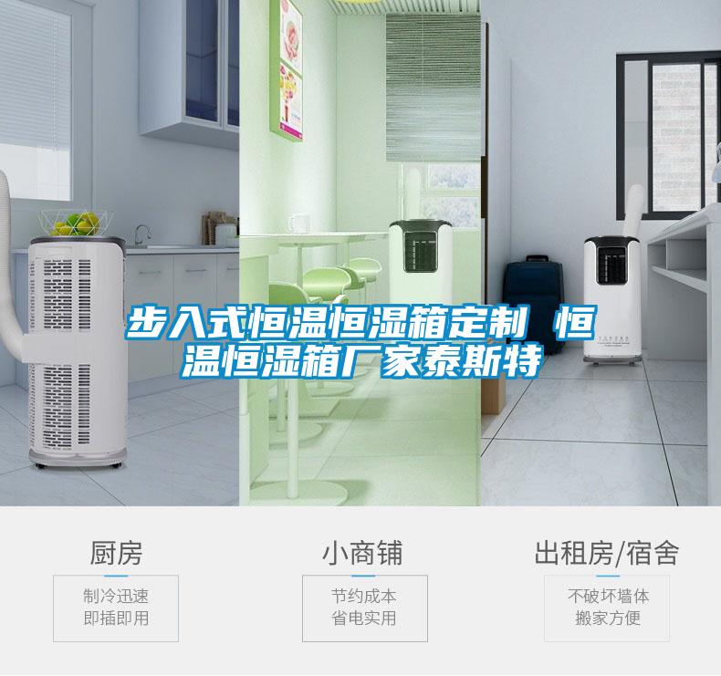 步入式恒溫恒濕箱定制 恒溫恒濕箱廠(chǎng)家泰斯特