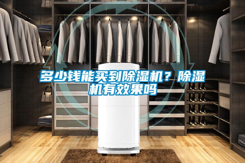 多少錢(qián)能買(mǎi)到除濕機？除濕機有效果嗎