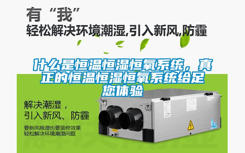 什么是恒溫恒濕恒氧系統，真正的恒溫恒濕恒氧系統給足您體驗