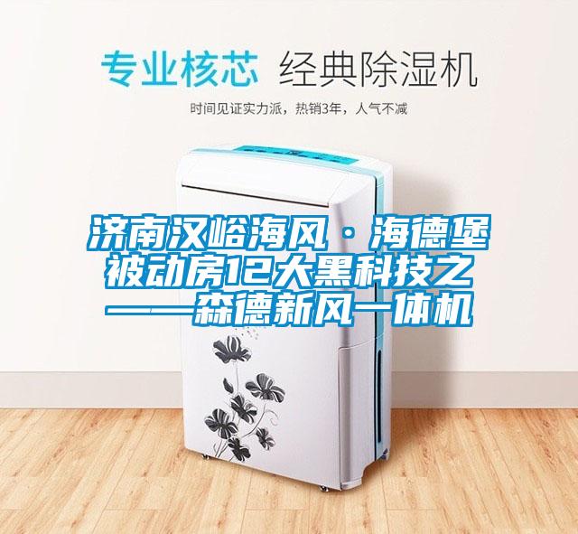 濟南漢峪海風(fēng)·海德堡被動(dòng)房12大黑科技之——森德新風(fēng)一體機
