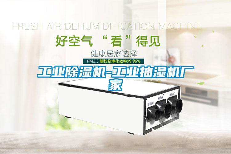 工業(yè)除濕機-工業(yè)抽濕機廠(chǎng)家