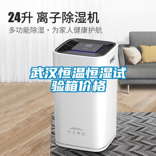 武漢恒溫恒濕試驗箱價(jià)格