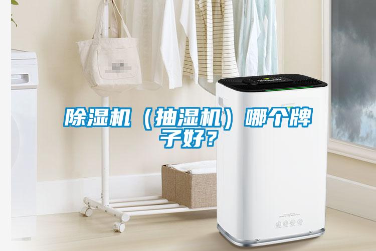 除濕機（抽濕機）哪個(gè)牌子好？