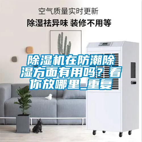 除濕機在防潮除濕方面有用嗎？看你放哪里_重復
