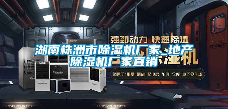 湖南株洲市除濕機廠(chǎng)家_地產(chǎn)除濕機廠(chǎng)家直銷(xiāo)