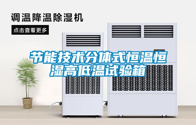 節能技術(shù)分體式恒溫恒濕高低溫試驗箱