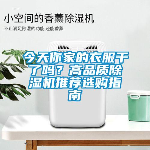 今天你家的衣服干了嗎？高品質除濕機推薦選購指南