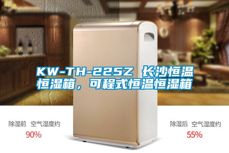 KW-TH-225Z 長(cháng)沙恒溫恒濕箱，可程式恒溫恒濕箱