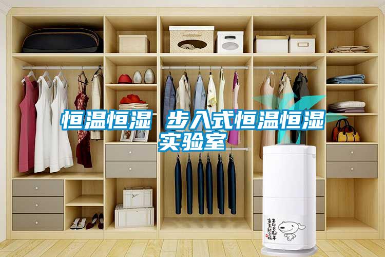 恒溫恒濕 步入式恒溫恒濕實(shí)驗室
