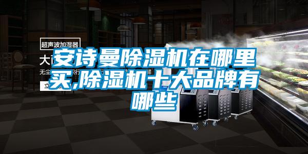 安詩(shī)曼除濕機在哪里買(mǎi),除濕機十大品牌有哪些