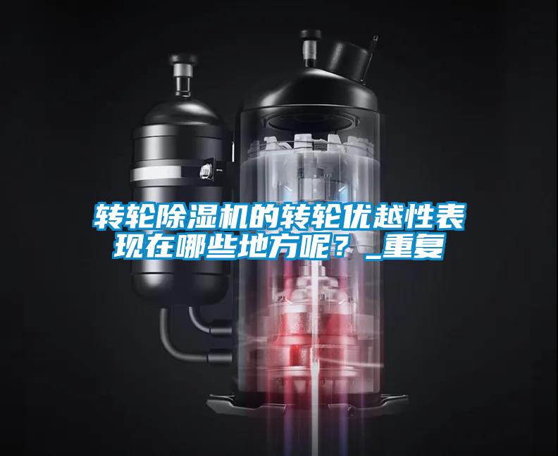 轉輪除濕機的轉輪優(yōu)越性表現在哪些地方呢？_重復