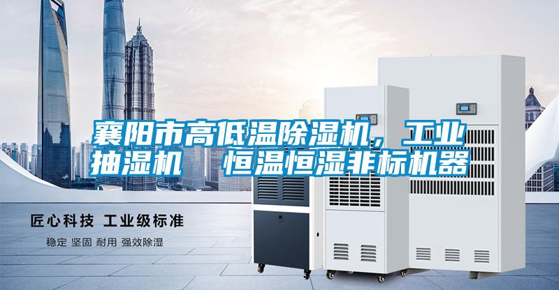 襄陽(yáng)市高低溫除濕機，工業(yè)抽濕機  恒溫恒濕非標機器