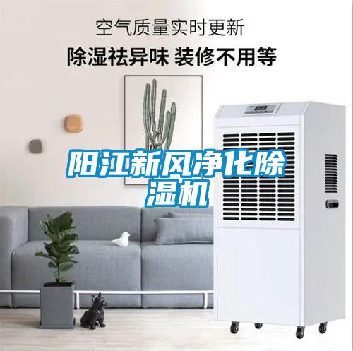 陽(yáng)江新風(fēng)凈化除濕機