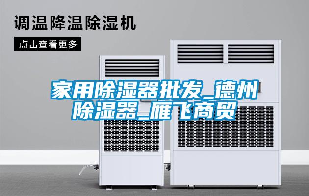 家用除濕器批發(fā)_德州除濕器_雁飛商貿