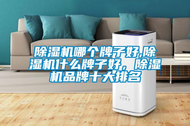 除濕機哪個(gè)牌子好,除濕機什么牌子好，除濕機品牌十大排名