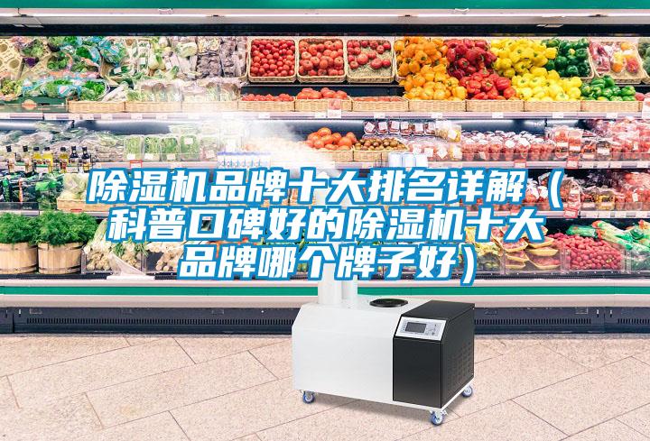 除濕機品牌十大排名詳解（科普口碑好的除濕機十大品牌哪個(gè)牌子好）