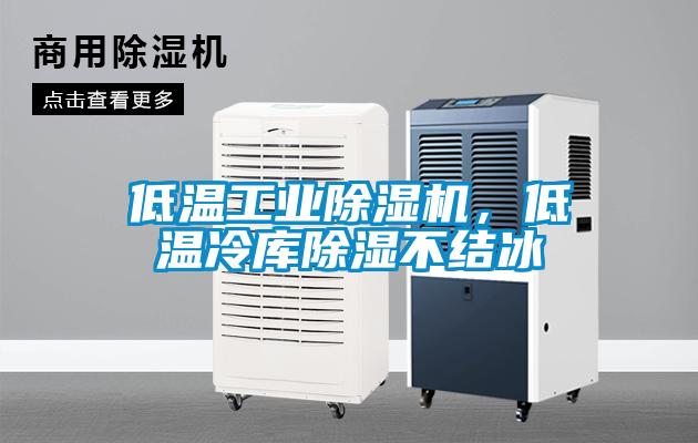 低溫工業(yè)除濕機，低溫冷庫除濕不結冰