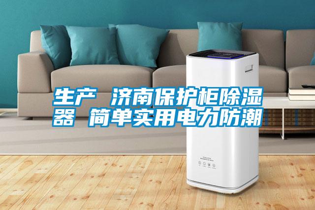 生產(chǎn) 濟南保護柜除濕器 簡(jiǎn)單實(shí)用電力防潮
