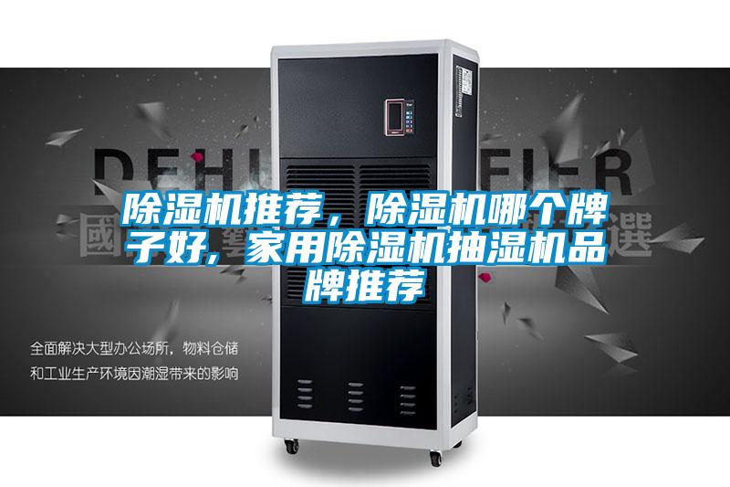 除濕機推薦，除濕機哪個(gè)牌子好, 家用除濕機抽濕機品牌推薦