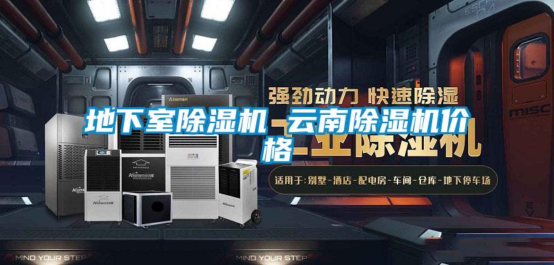 地下室除濕機 云南除濕機價(jià)格