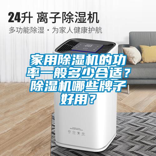 家用除濕機的功率一般多少合適？除濕機哪些牌子好用？