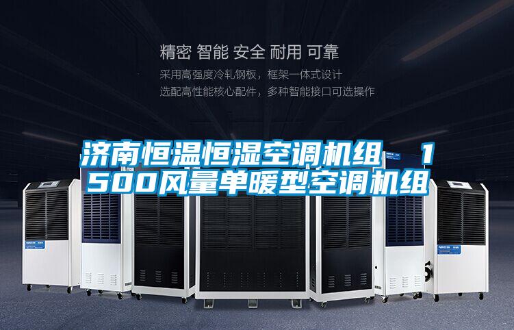 濟南恒溫恒濕空調機組  1500風(fēng)量單暖型空調機組