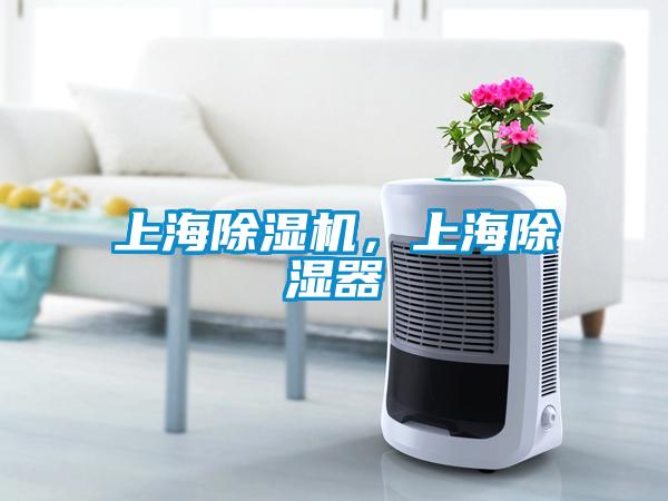 上海除濕機，上海除濕器