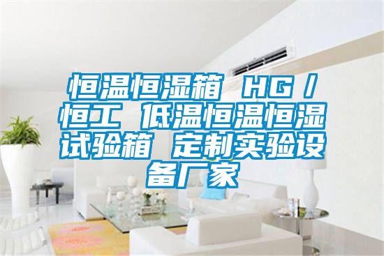 恒溫恒濕箱 HG／恒工 低溫恒溫恒濕試驗箱 定制實(shí)驗設備廠(chǎng)家