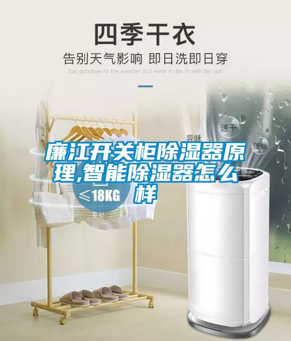 廉江開(kāi)關(guān)柜除濕器原理,智能除濕器怎么樣