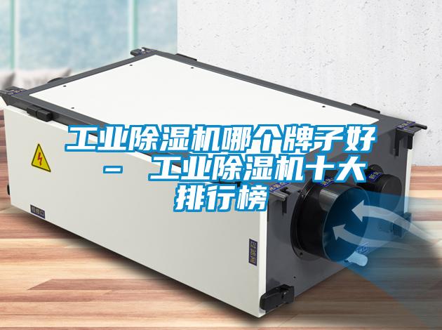 工業(yè)除濕機哪個(gè)牌子好 – 工業(yè)除濕機十大排行榜