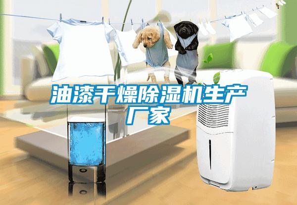 油漆干燥除濕機生產(chǎn)廠(chǎng)家